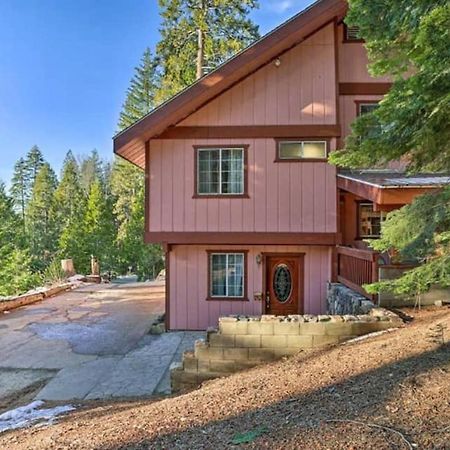 Willa Cozy Bear Yosemite West Zewnętrze zdjęcie